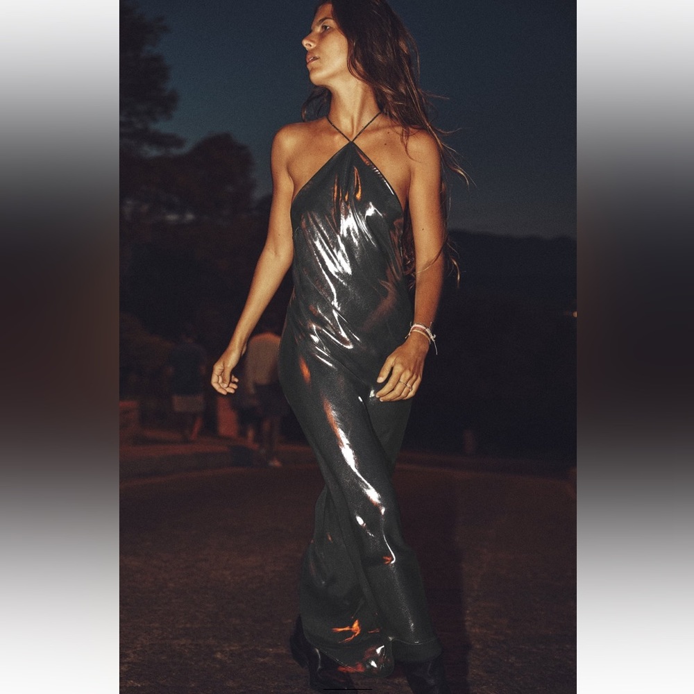 NWT Zara Metallic Dress